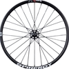 Spinerg GX Max 29" Front 100x15 Tubeless R