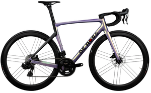 De Rosa Settanta 70 rammekit